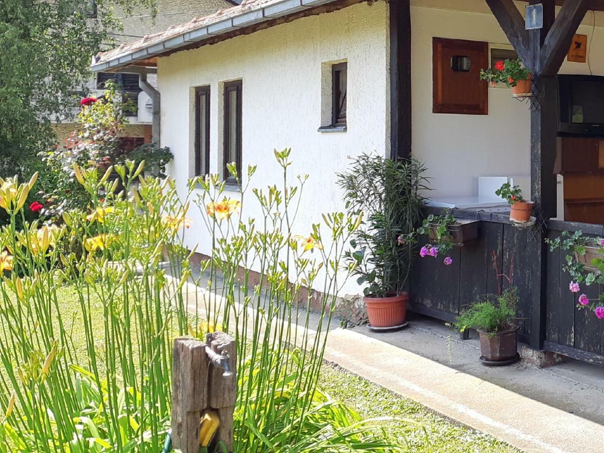 Apartman Kucica Za Odmor , Draskovic Vrnjacka Banja Bagian luar foto